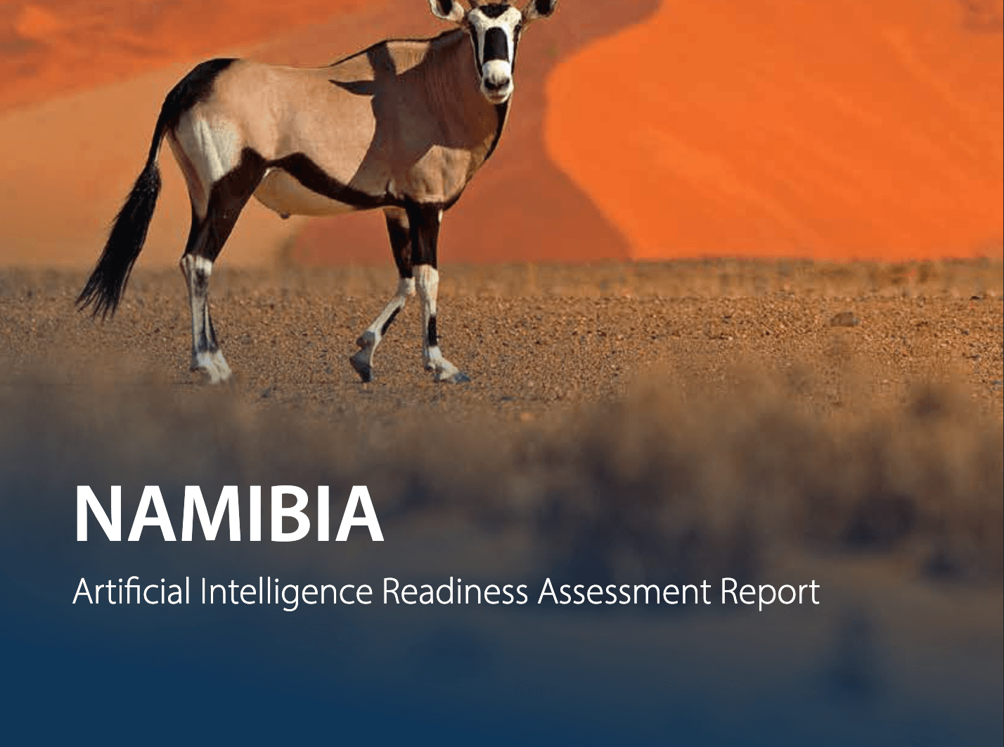 NAMIBIA Artificial Intelligence Readiness Assessment Report